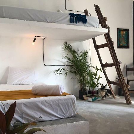 Black Jaguar Hostel Bacalar Zewnętrze zdjęcie