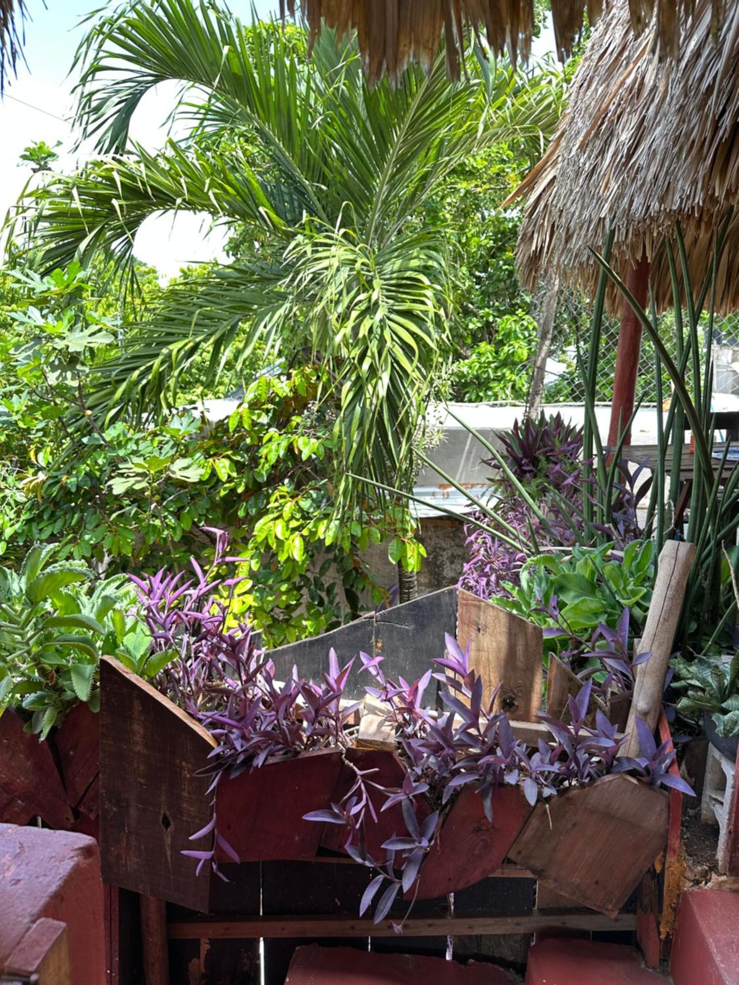 Black Jaguar Hostel Bacalar Zewnętrze zdjęcie