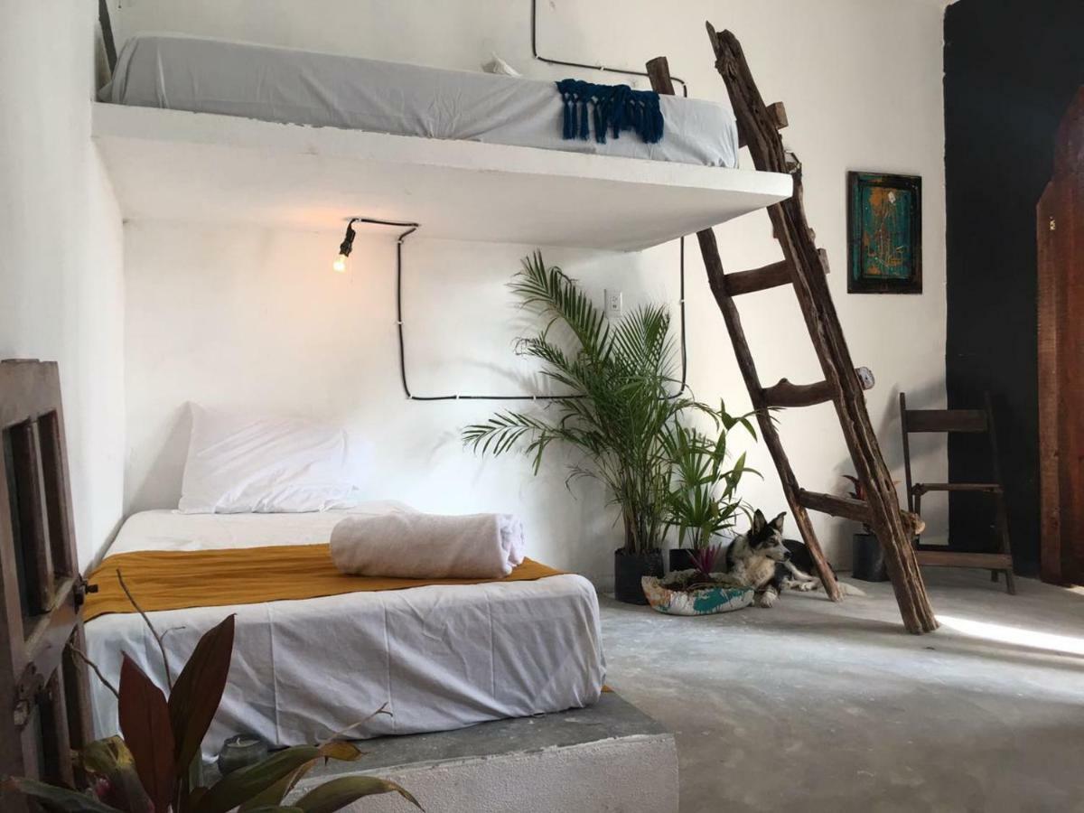 Black Jaguar Hostel Bacalar Zewnętrze zdjęcie